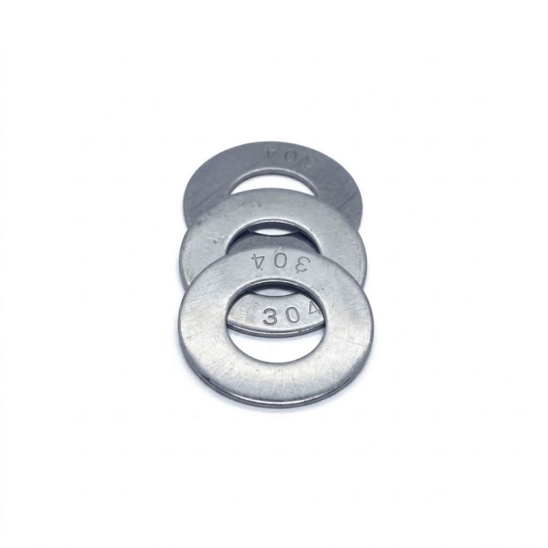 Long Đền Phẳng Inox 304 M3-M24