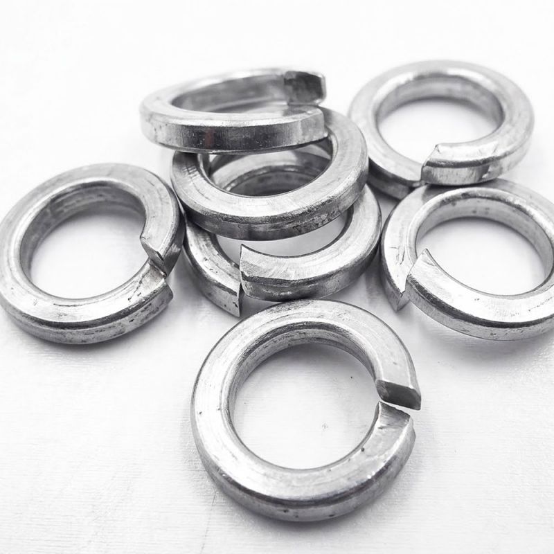 Long Đền Vênh Inox 304 Từ M3-M24